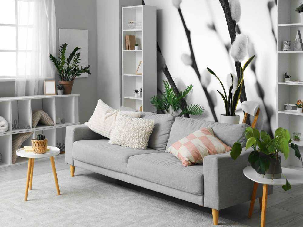 Wierzba czarna i biała