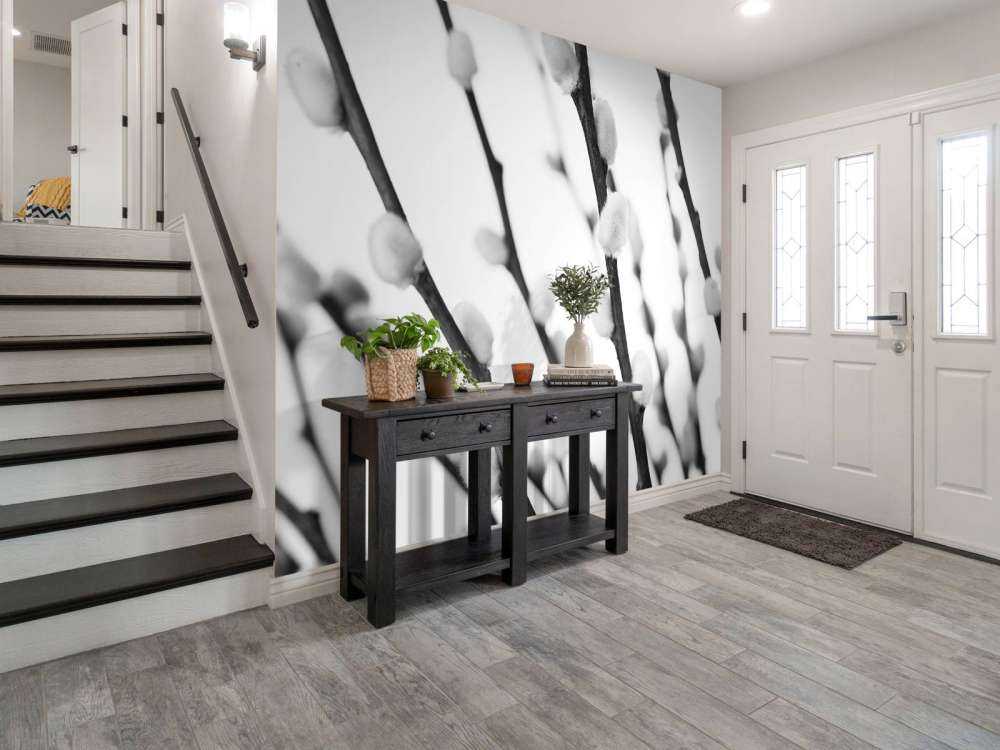 Wierzba czarna i biała