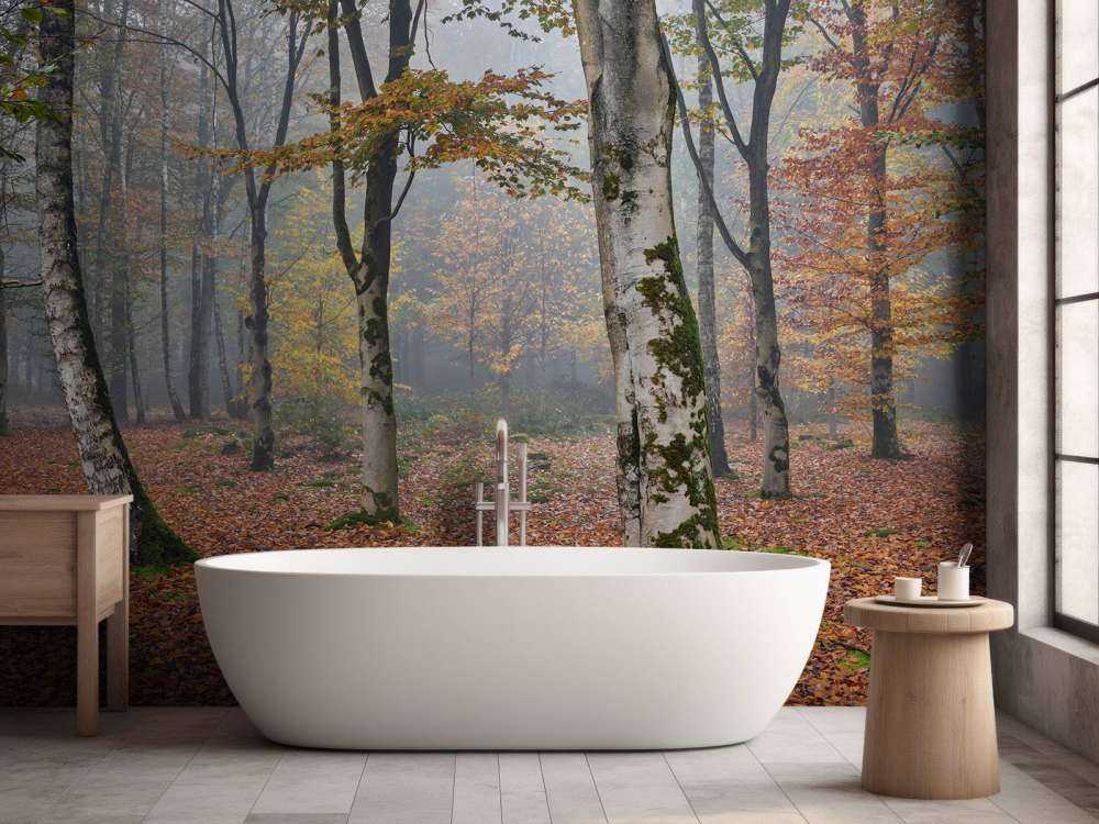 Jesienny las brzozowy