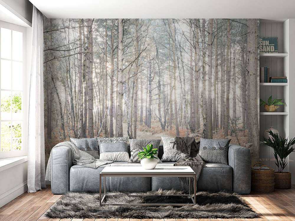 Piaszczysta ścieżka przez las