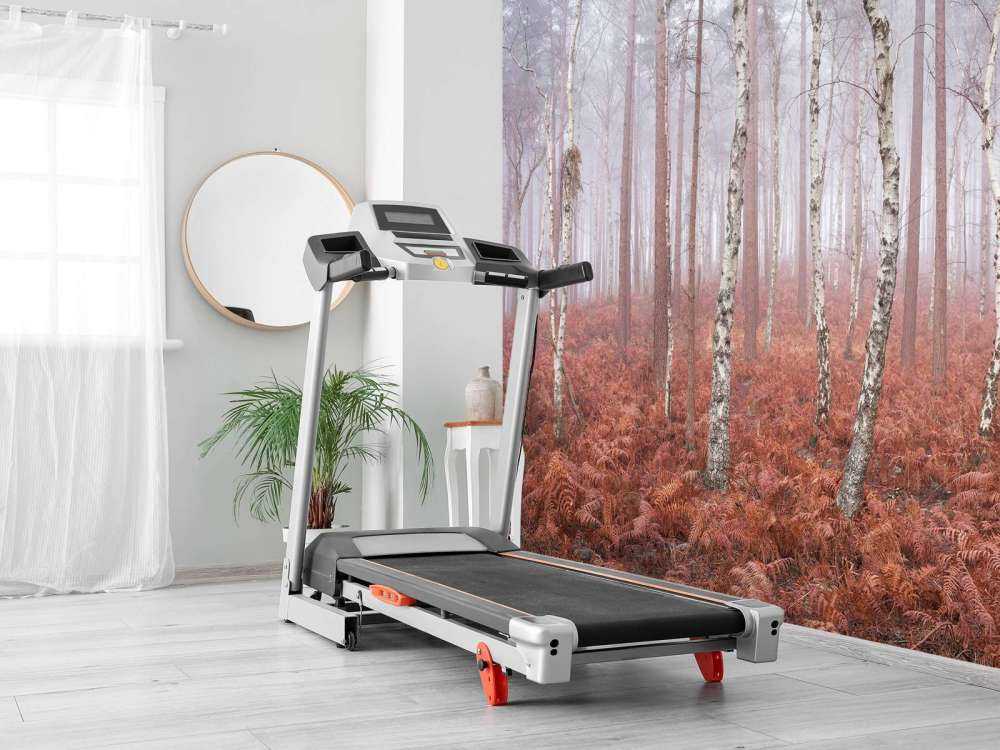 Opuszczony, mglisty las