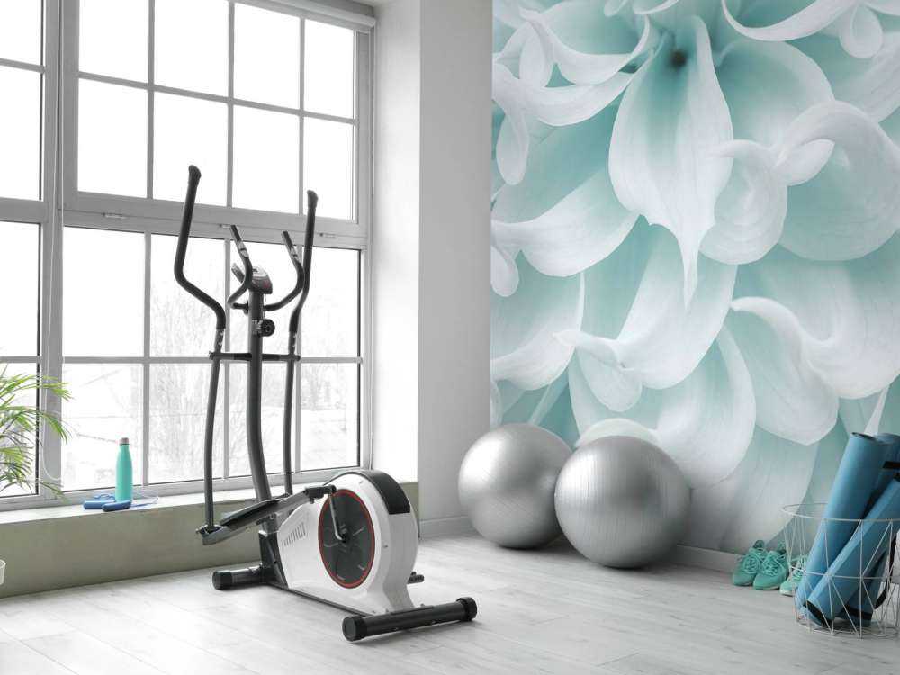 Dalia o jasnej barwie