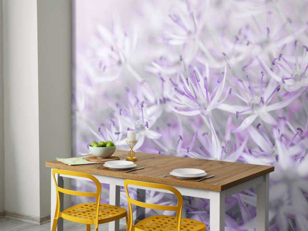 Kwiaty Allium w zbliżeniu