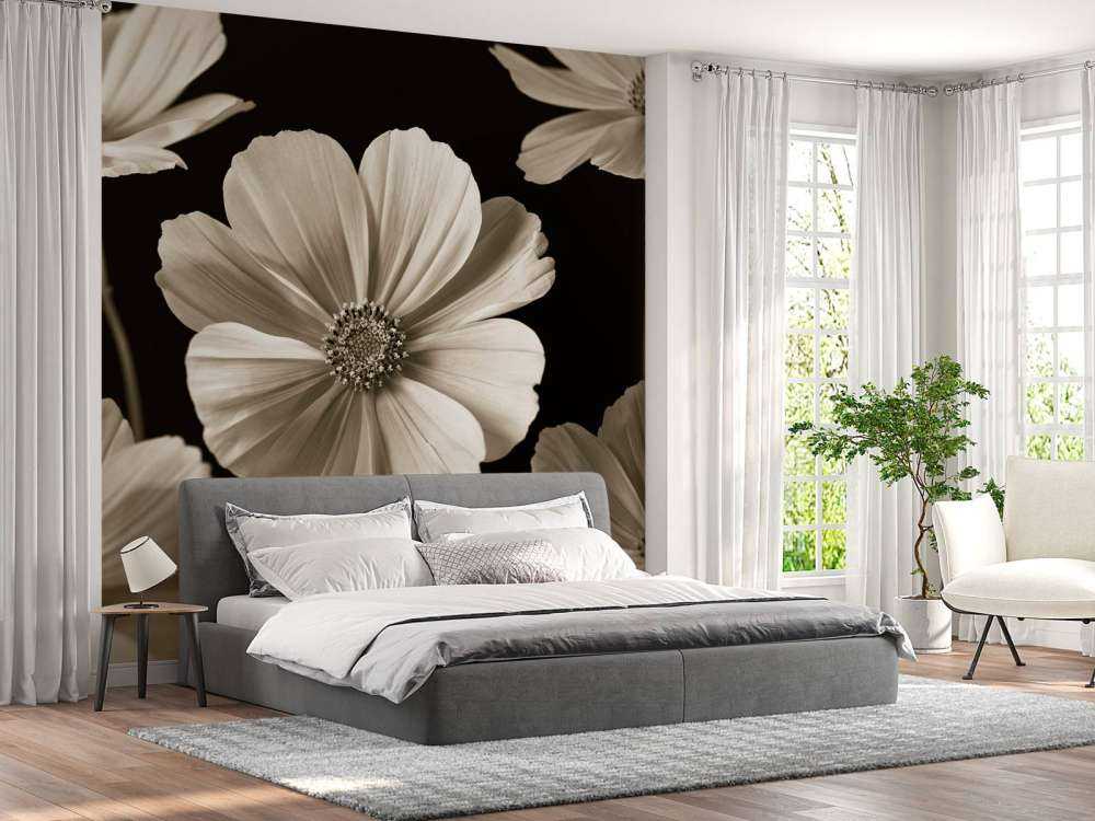 Kilka kwiatów Cosmos