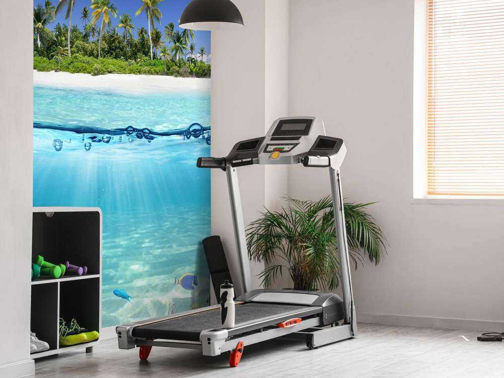 Tropikalna wyspa i rafa koralowa