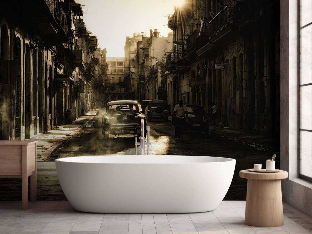 Mystic morning in Havana