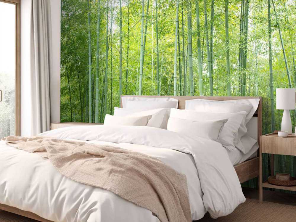 Zielony las bambusowy