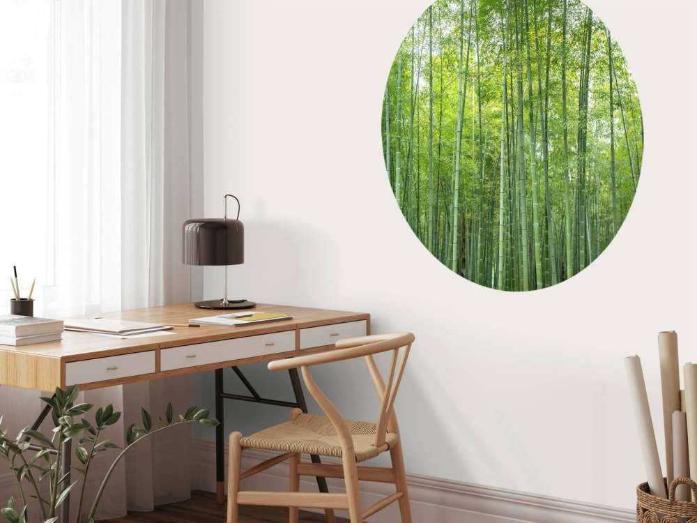 Zielony las bambusowy