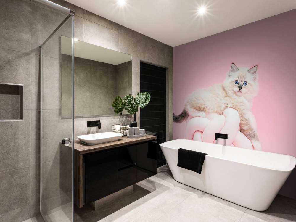 Biały kot na różowym tle