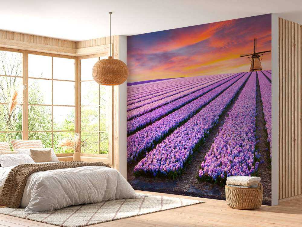 Szafirek Niebieski Muscari