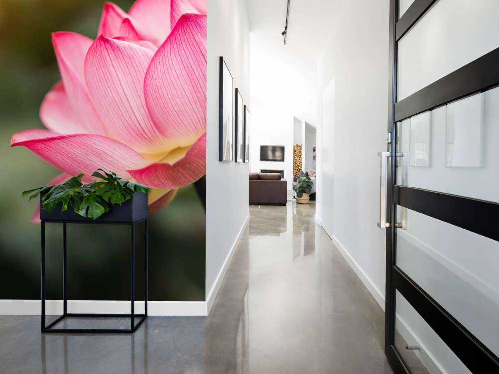 Kwiat lotosu w kolorze zielonym