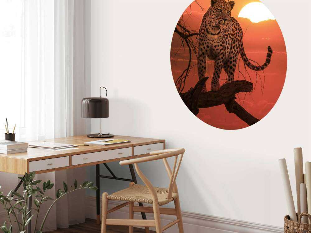 Lampart na tle zachodzącego słońca