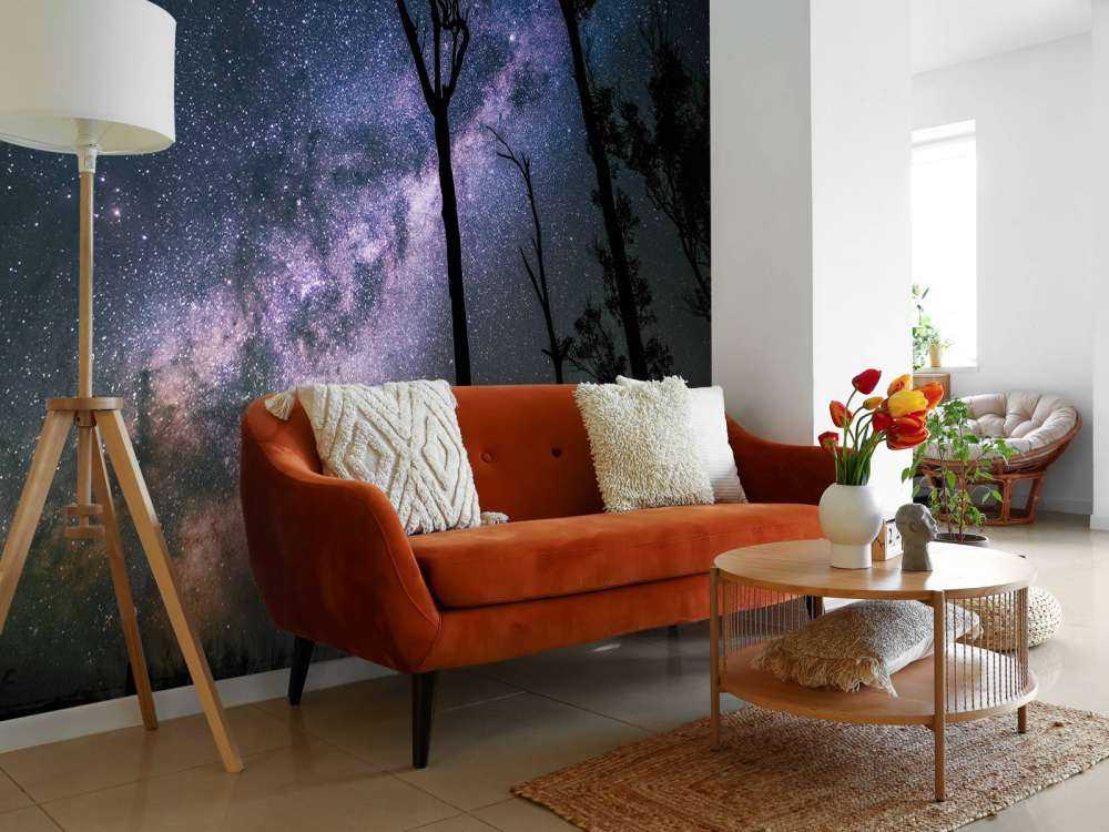 Gwiazdy między drzewami