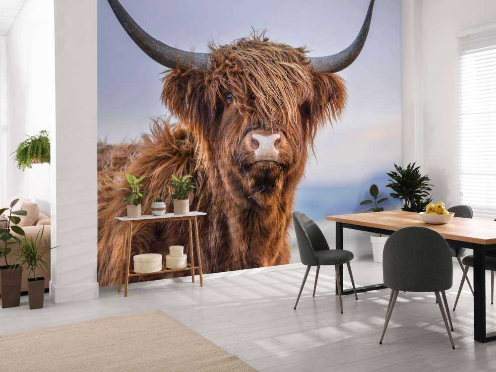 Szkocki wyżyn w roli głównej