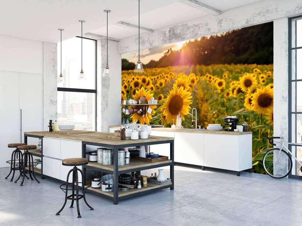 Farma słoneczników