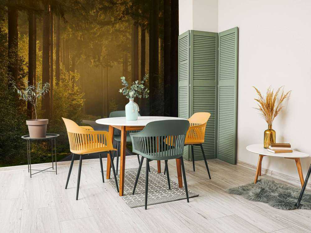 Wschód słońca w drodze przez las