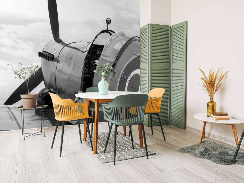 Stary samolot myśliwski