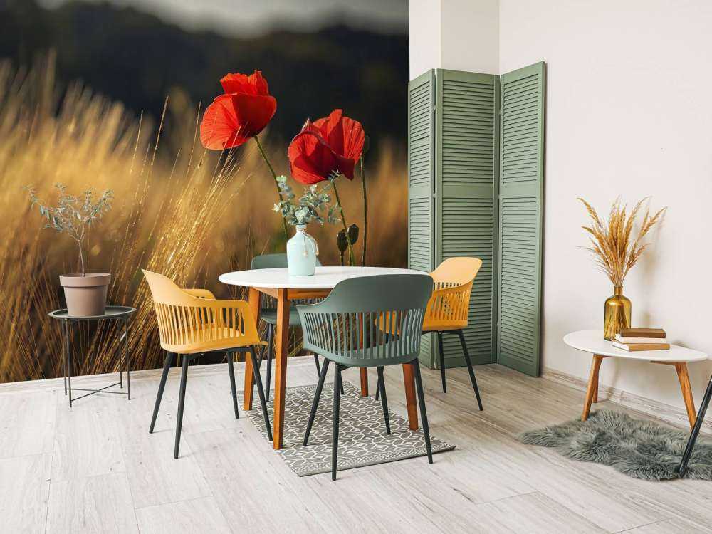 Maki na polu pszenicy