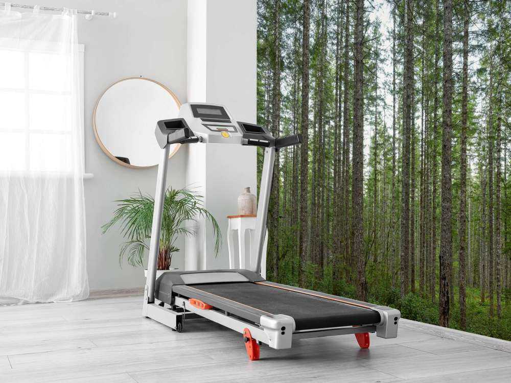 Drzewa wysoko wyprostowane