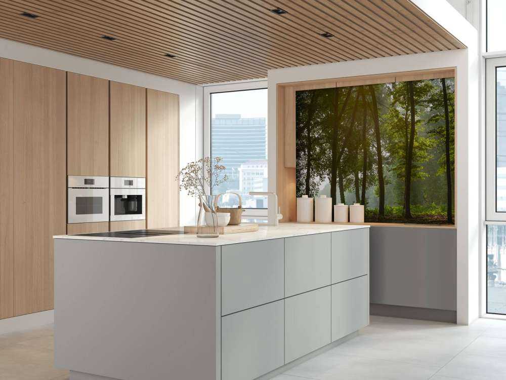 Las w porannym słońcu