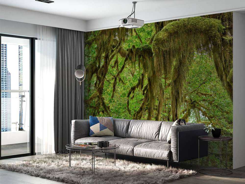 Mchy na gałęziach drzew