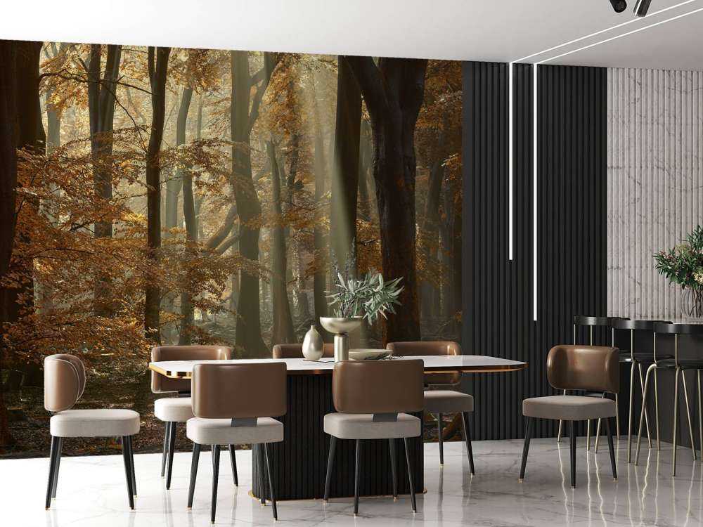 Jesienne kolory w lesie