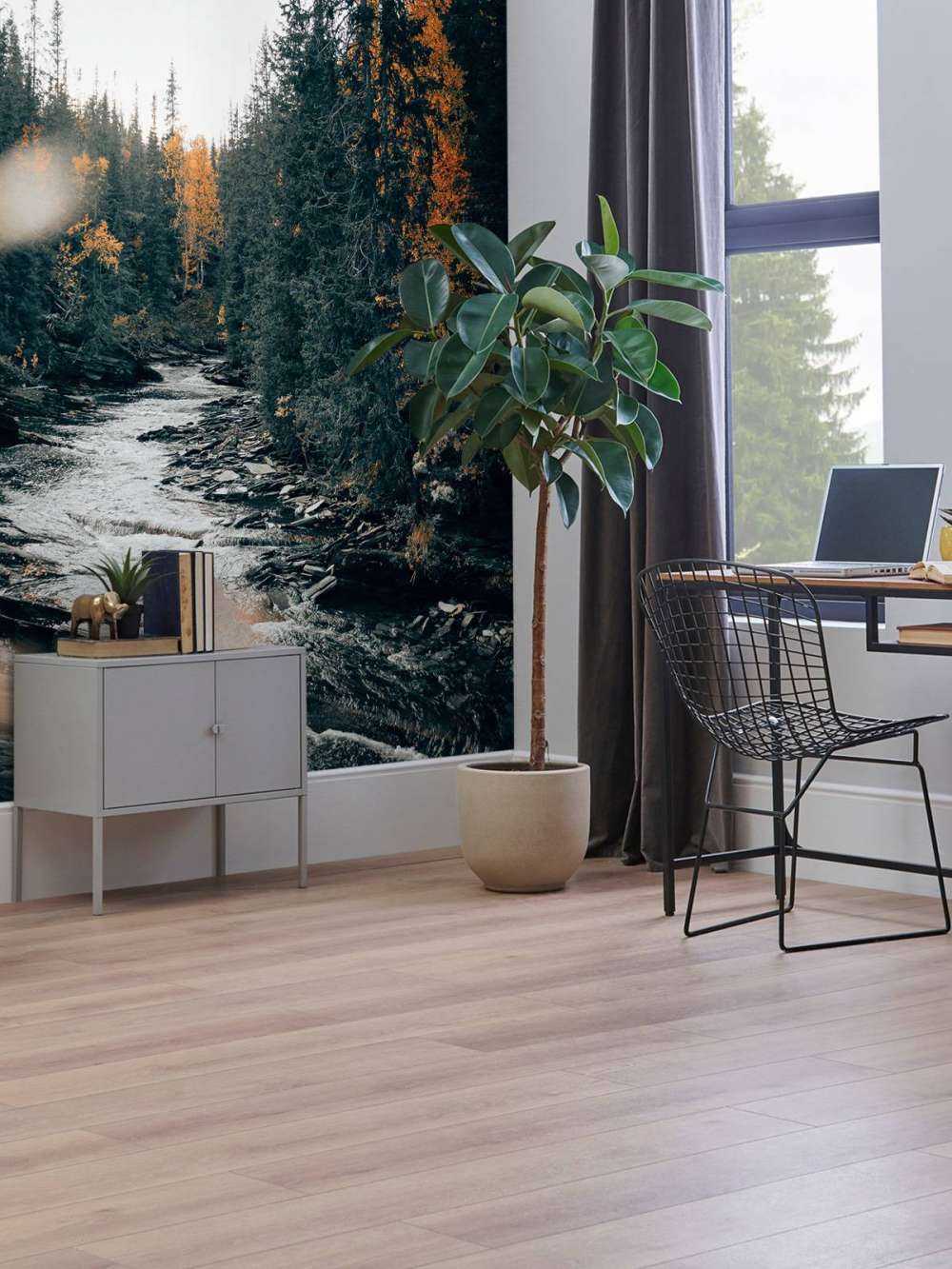 Zaczarowany jesienny las