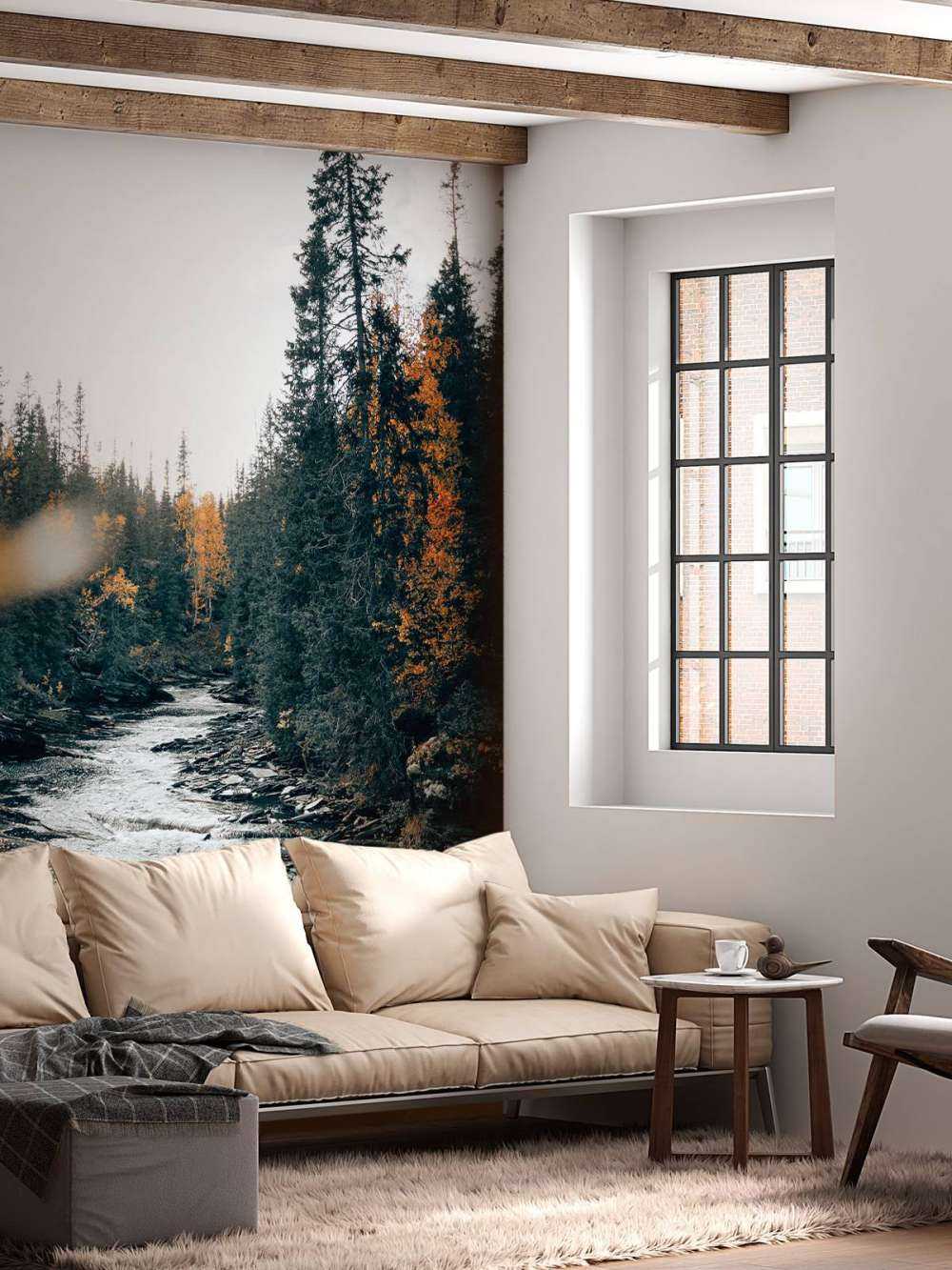 Zaczarowany jesienny las