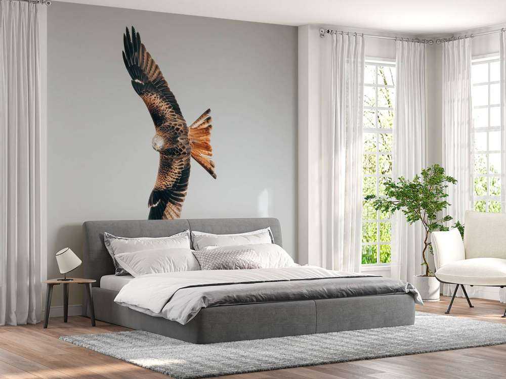 Czerwony latawiec z rozpostartymi skrzydłami