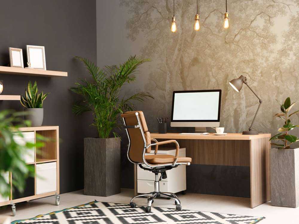 Krajobraz leśny beżowy panorama