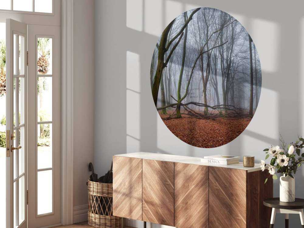 Tajemniczy, zamglony las