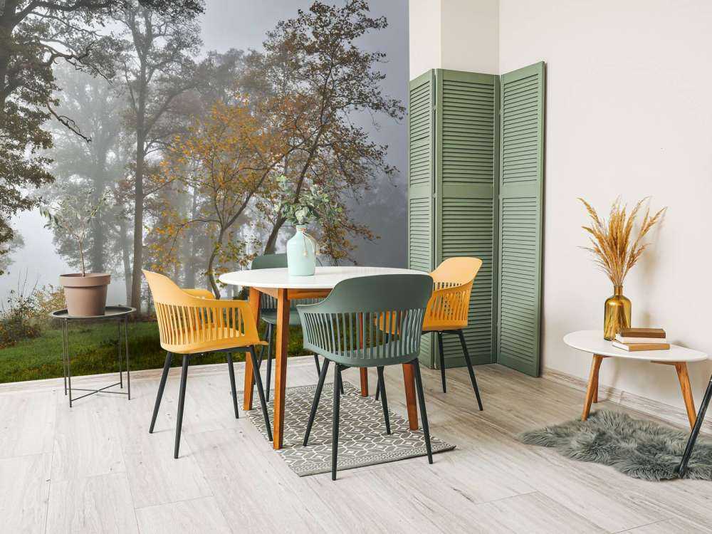 Pole trawiaste z drzewami i mgłą