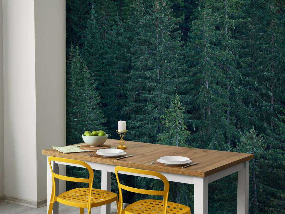 Drzewa iglaste z szyszkami sosnowymi