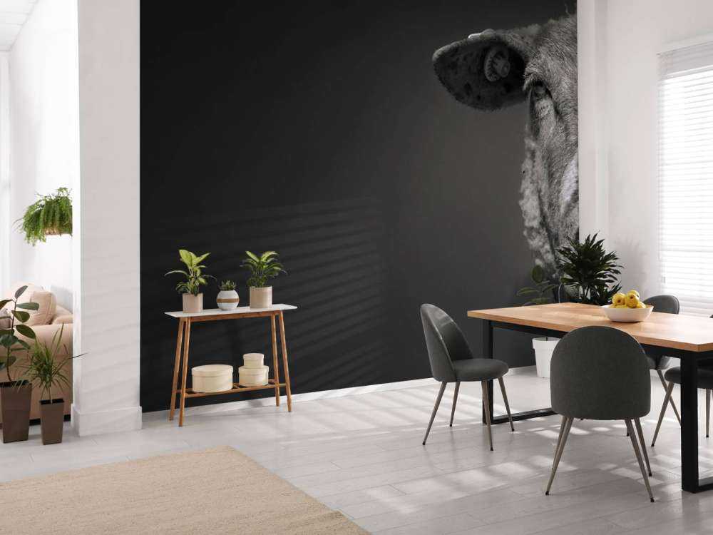 Zbliżenie na czarną i białą owcę