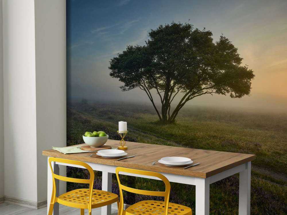 Wschód słońca na wrzosowisku