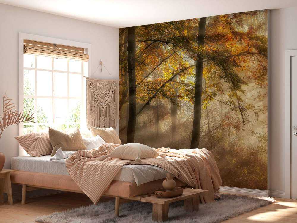 The lights of the forest