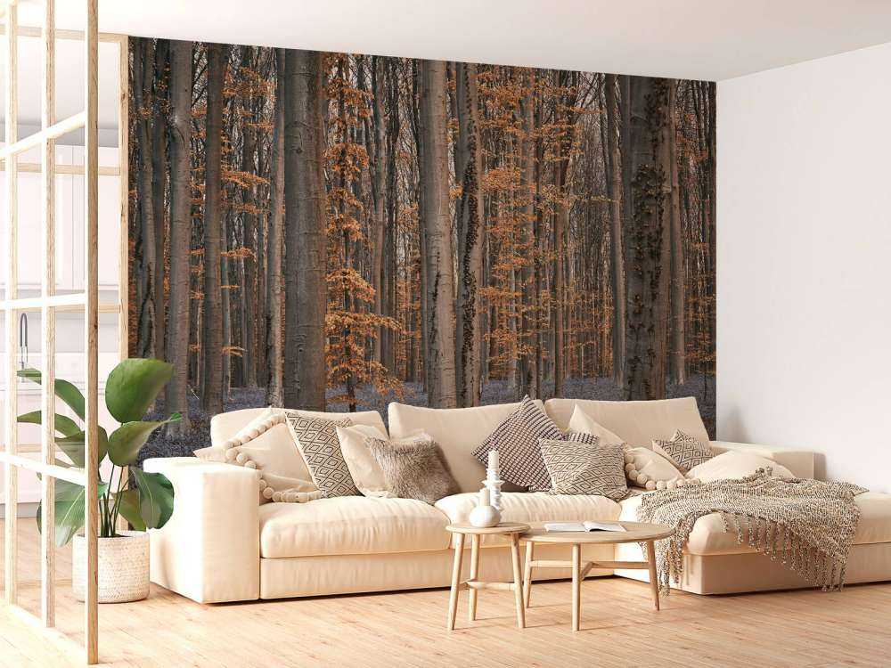 Las z pastelowymi odcieniami