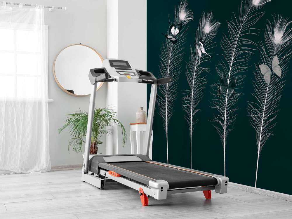 Motyle na pawich piórach