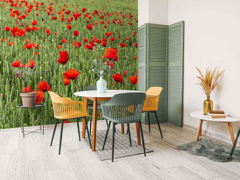 Pole czerwonych maków