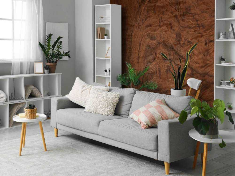 Specjalna struktura drewna