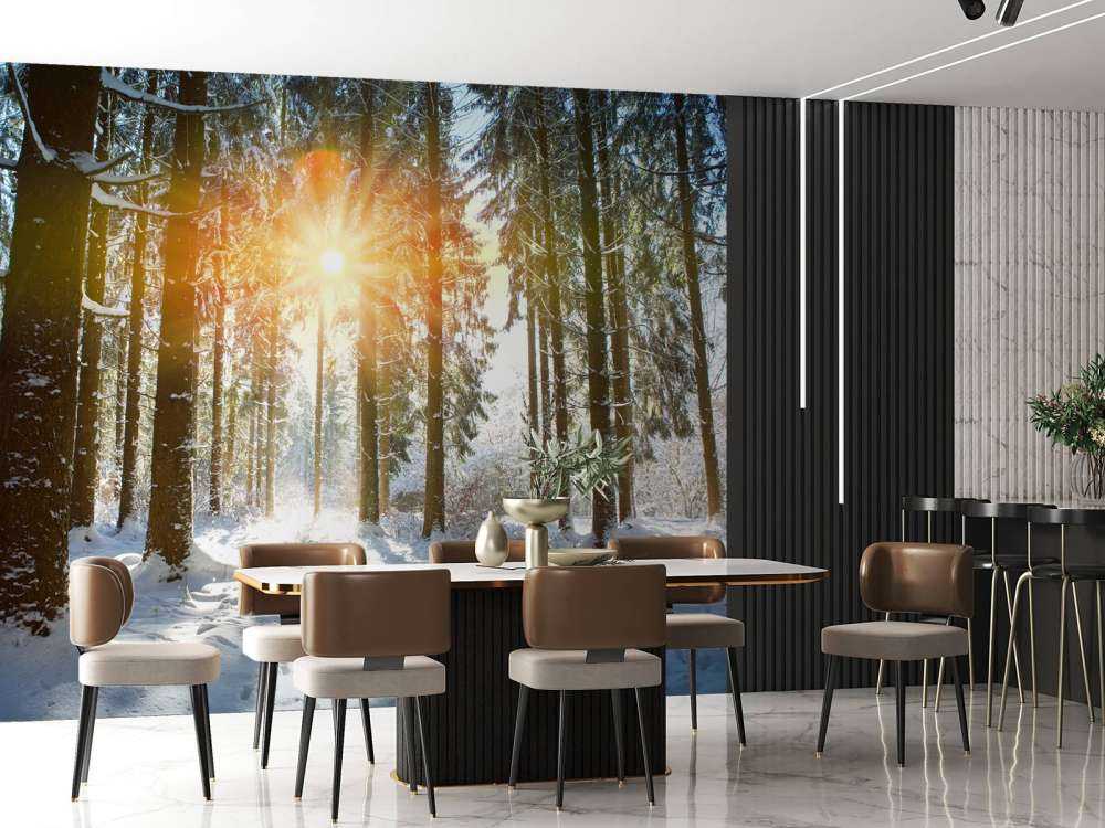 Światło słoneczne w zimowym lesie