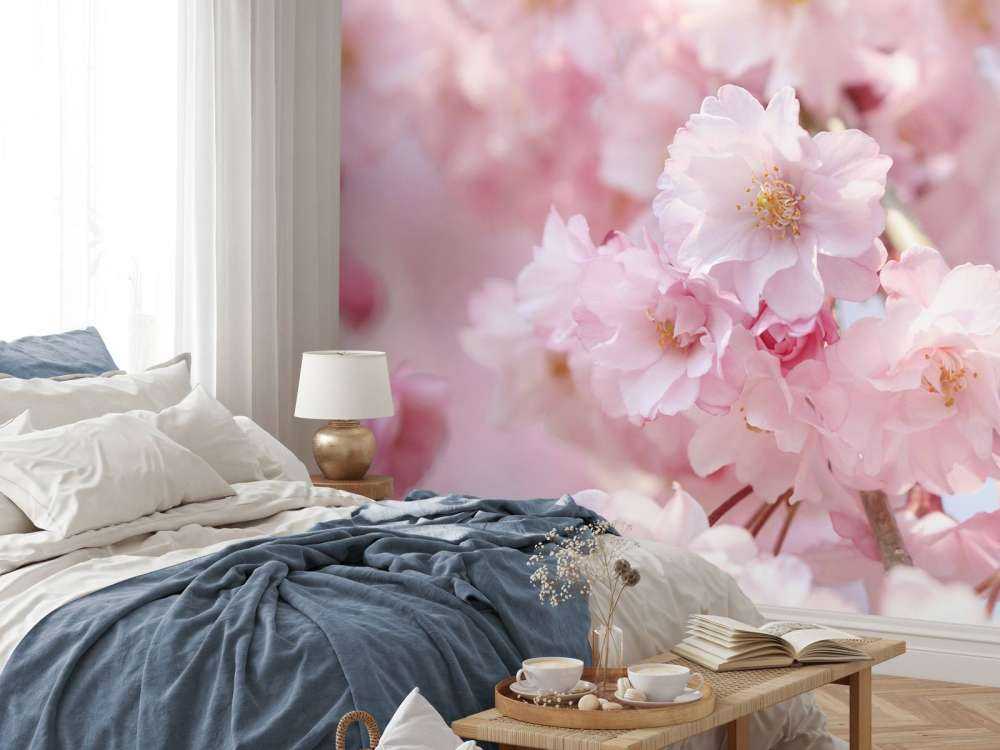 Zbliżenie na różowe kwiaty