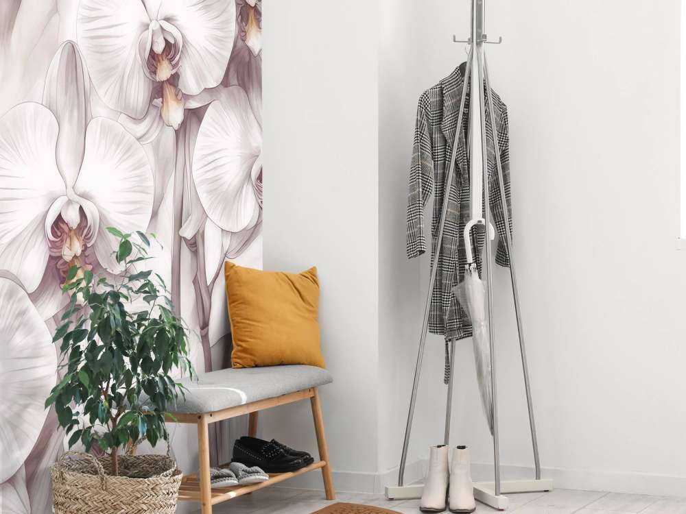 Raj Orchidei Czerwony