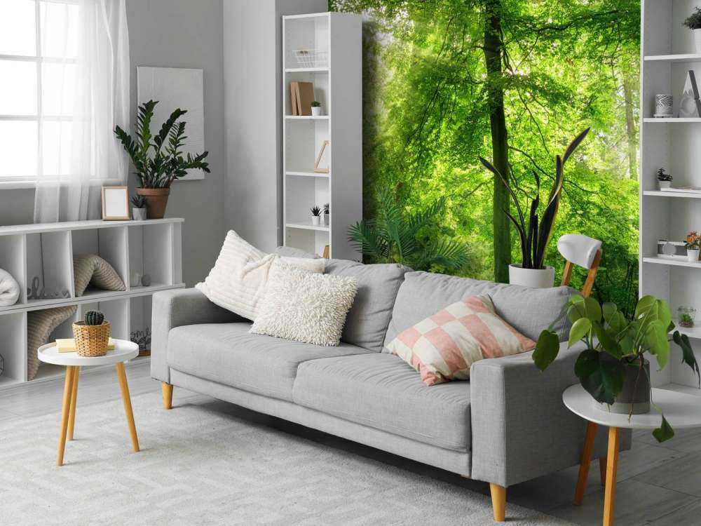 Las z lekką mgiełką