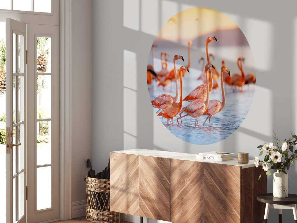 Gapiące się flamingi