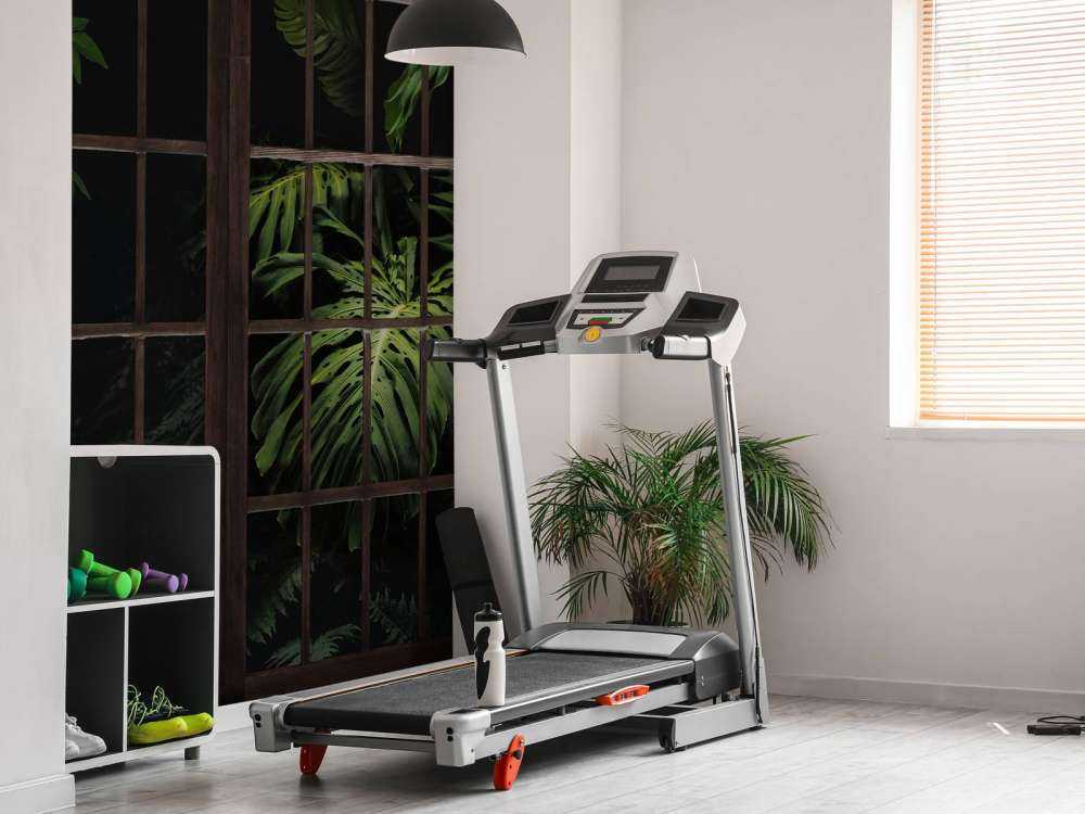 Rośliny botaniczne za oknami