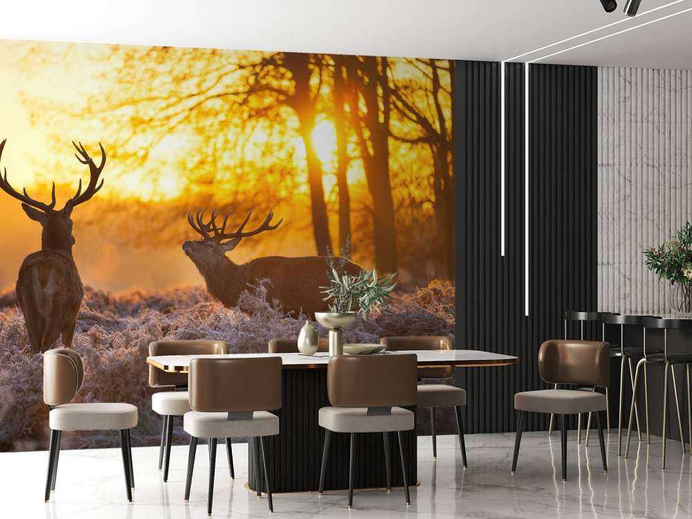 Jeleń o zachodzie słońca