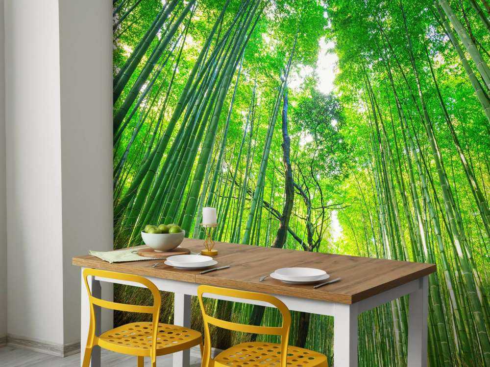 Las bambusowy w Arashiyama