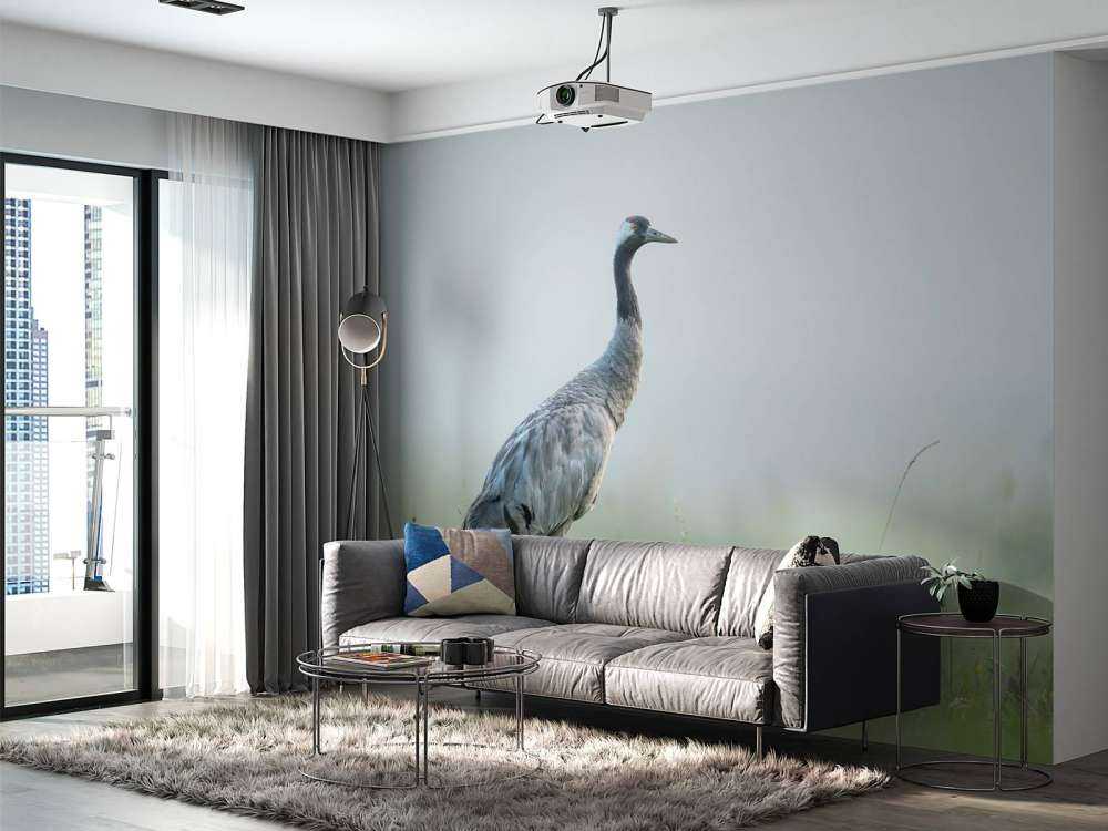 Żuraw w porannej mgle