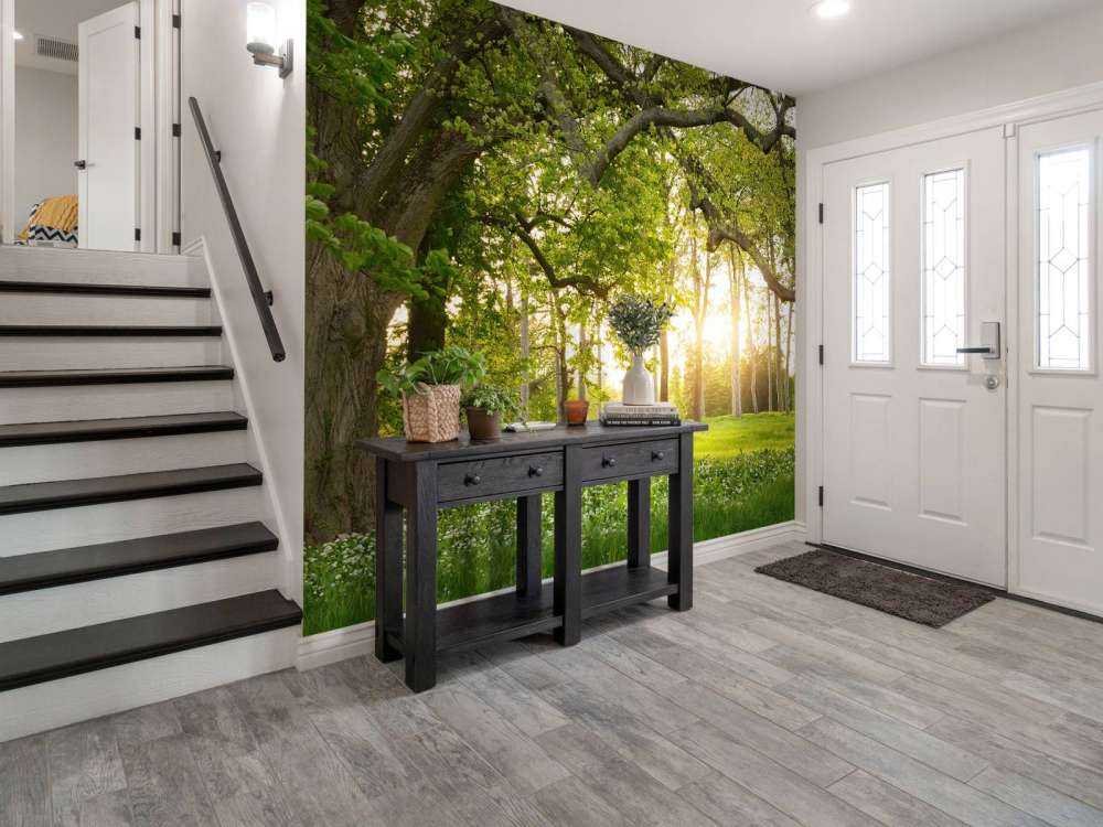 Otwarta przestrzeń w lesie